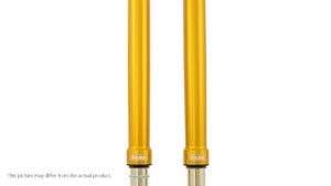 Front fork universal 50/54/800 gold (SET)