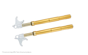Front fork R&T Ducati 1199  Panigale (SET)