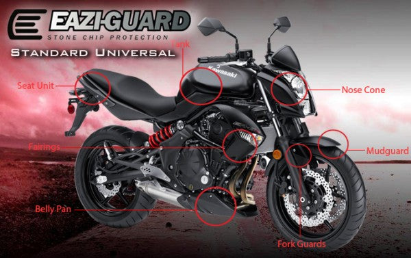 Eazi-Grip Paint Protection Film, Standard DIY-cut Universal Kit, gloss