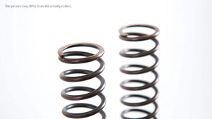 Spring,Fr.fork 35.6/415/8.0**** (PAIR)