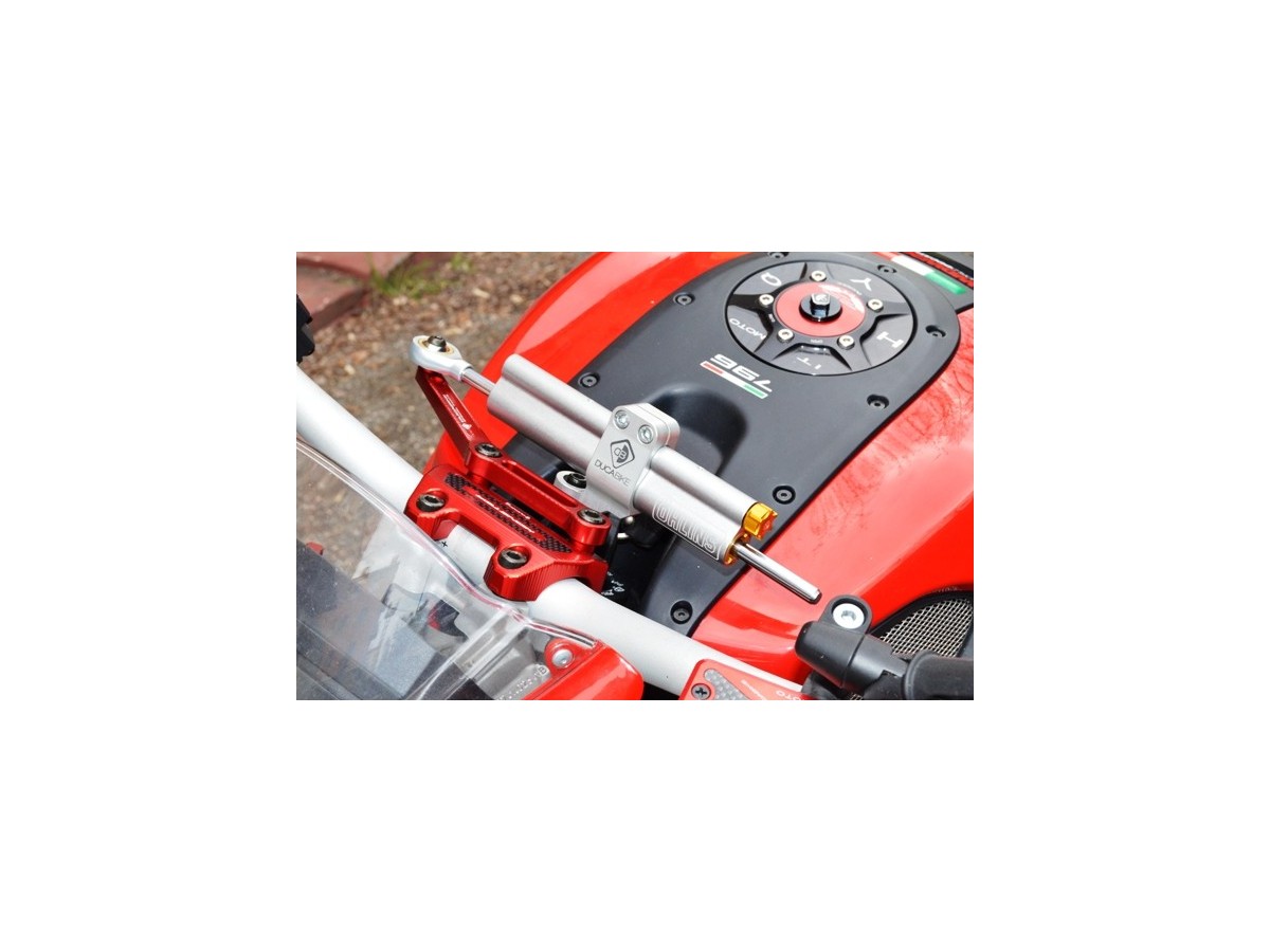SAS06 - KIT MOUNT STEERING DAMPER M796 / 1100 EVO